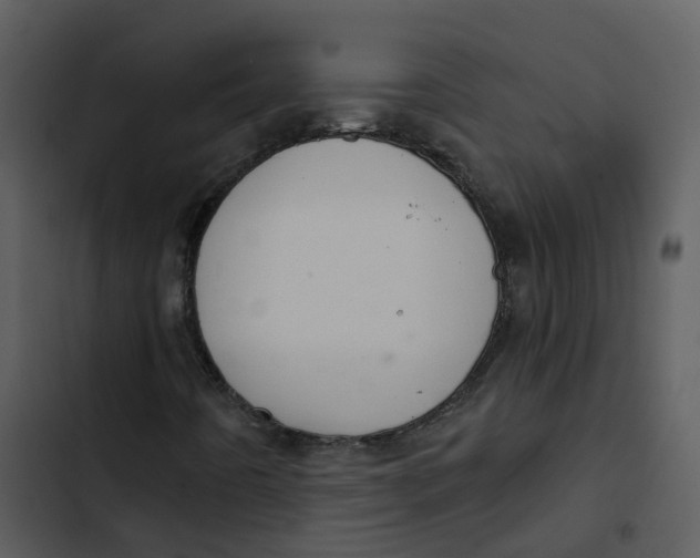 X0000102851442200809081232