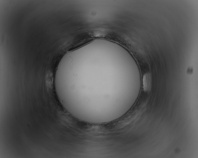 X0000102851443200809081232