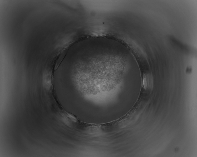 X0000102851444200809081232