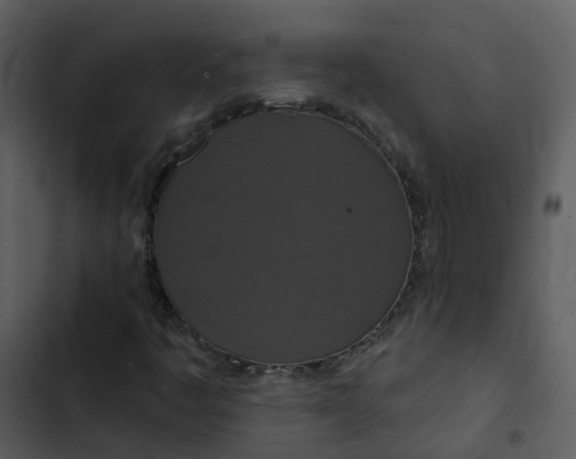 X0000102851445200809081232