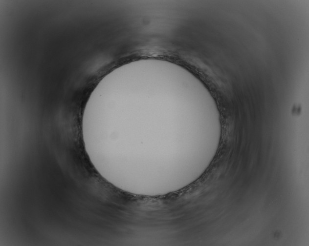 X0000102851446200809081232