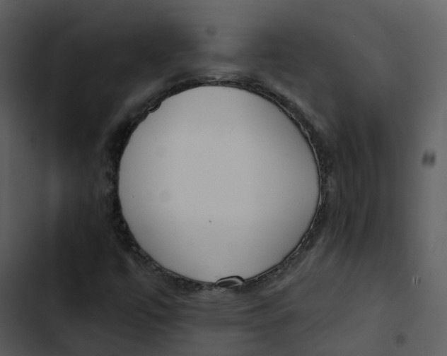 X0000102851447200809081232