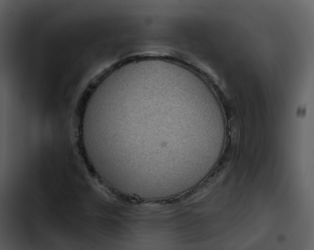 X0000102851448200809081232