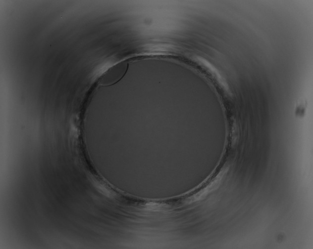 X0000102851449200809081232