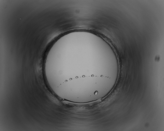 X0000102851450200809081232