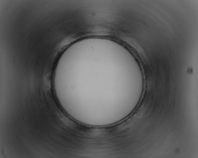 X0000102851451200809081232