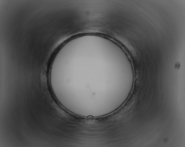 X0000102851452200809081232