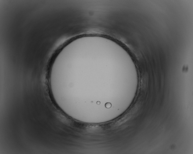 X0000102851454200809081232