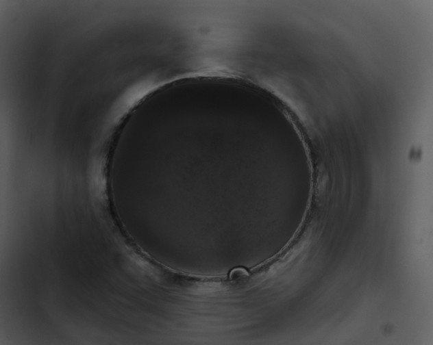 X0000102851455200809081232