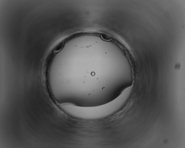 X0000102851456200809081232