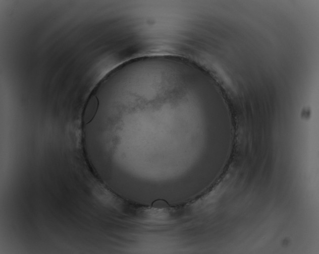 X0000102851457200809081232