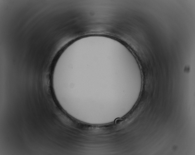 X0000102851458200809081232