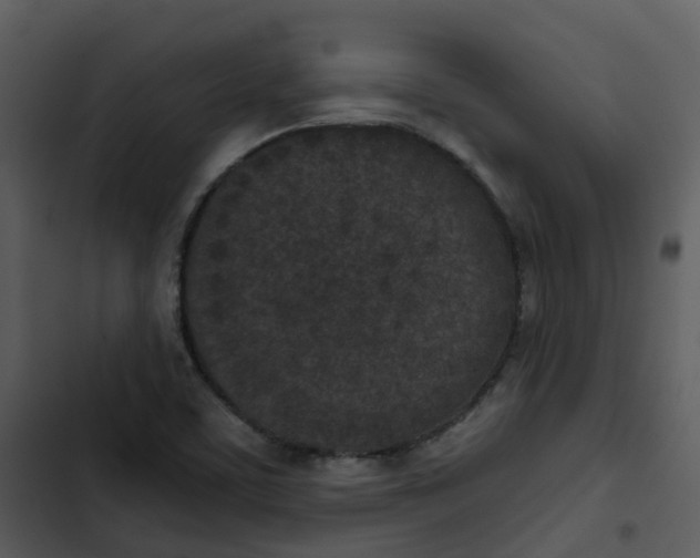 X0000102851459200809081232