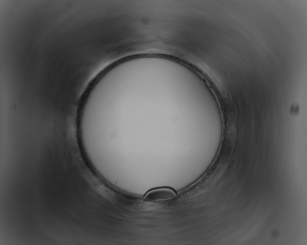 X0000102851460200809081232