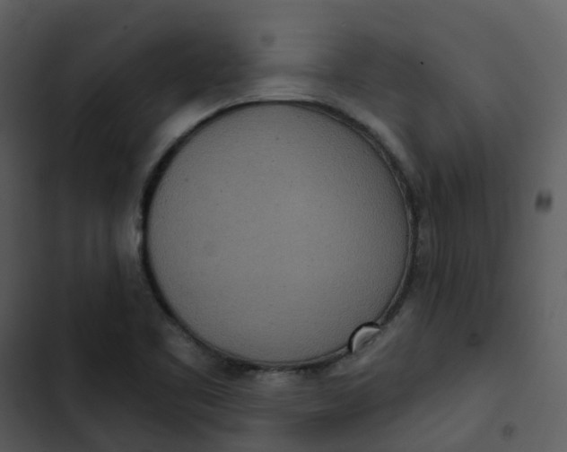 X0000102851461200809081232