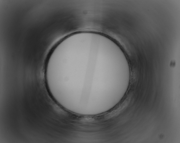 X0000102851462200809081232