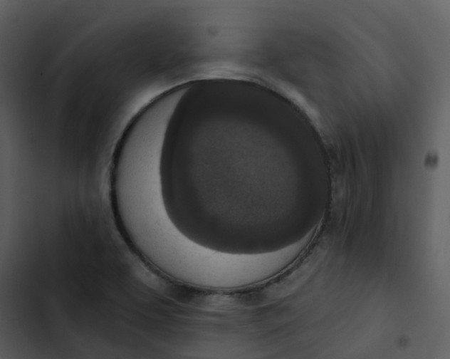 X0000102851463200809081232