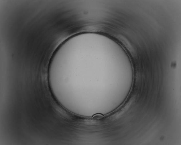 X0000102851465200809081232