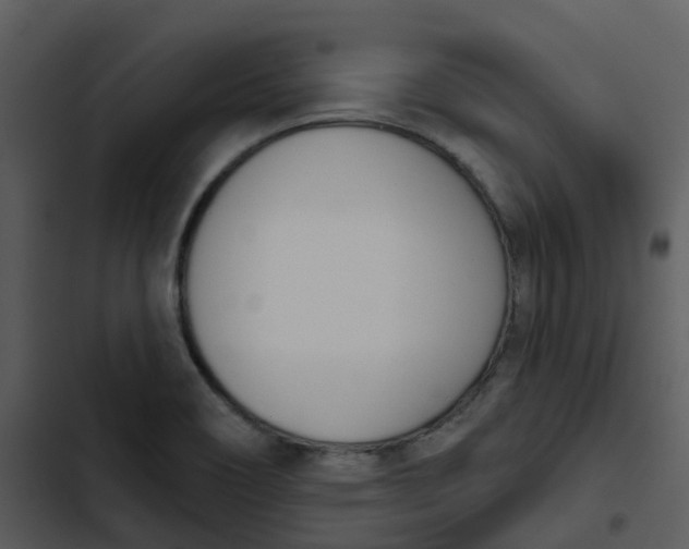 X0000102851466200809081232