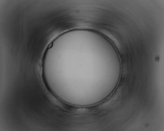 X0000102851467200809081232