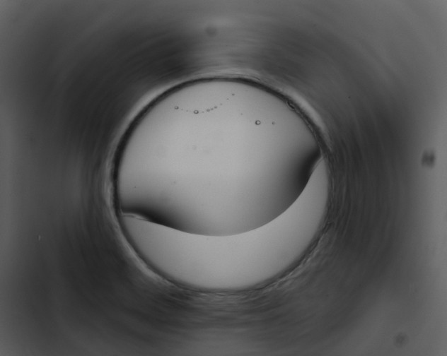 X0000102851468200809081232