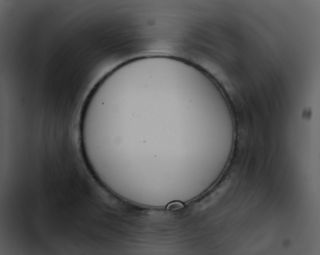 X0000102851469200809081232