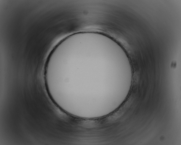 X0000102851470200809081232