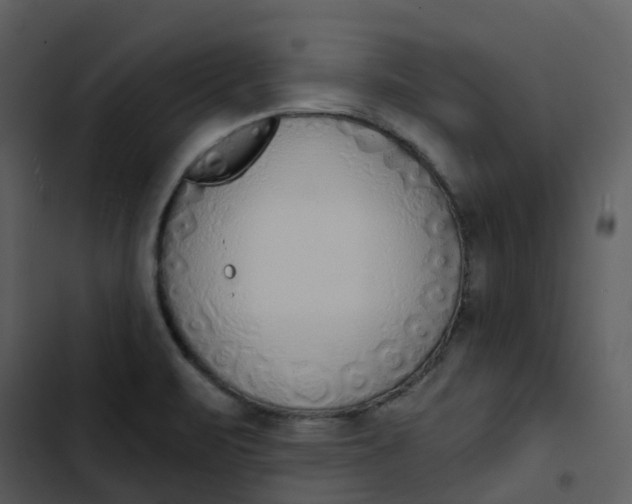 X0000102851471200809081232