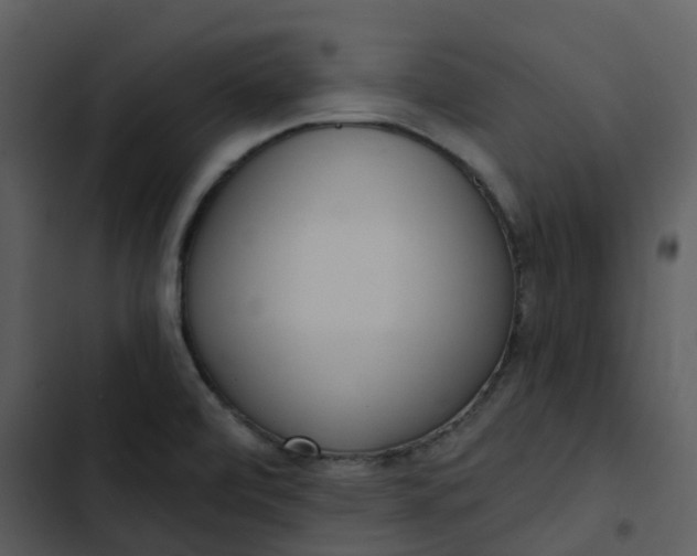 X0000102851472200809081232