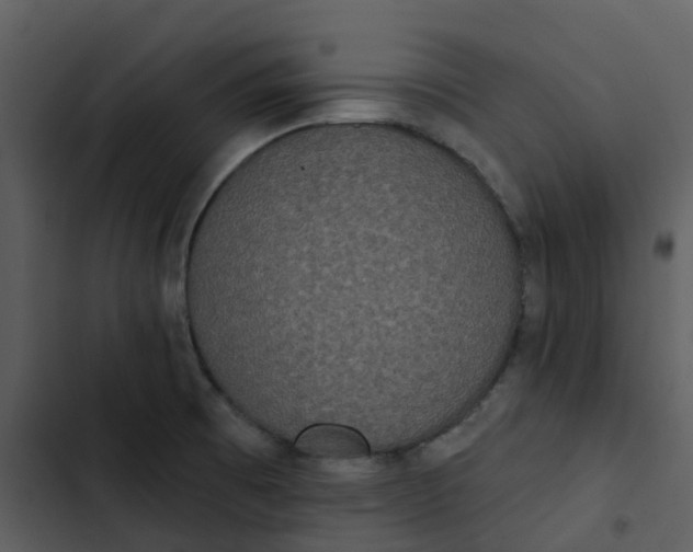 X0000102851473200809081231