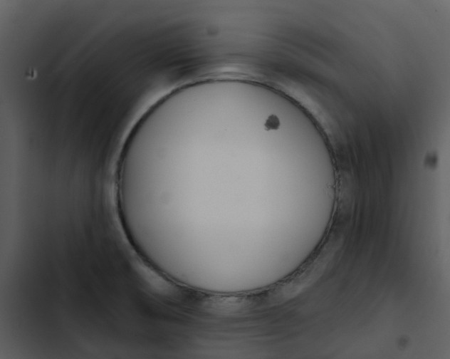 X0000102851474200809081231