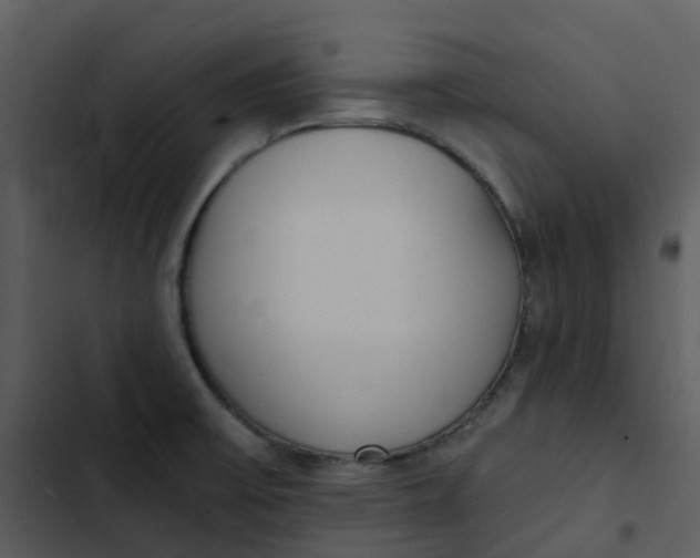 X0000102851475200809081231