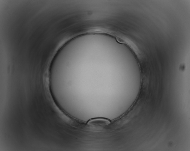 X0000102851476200809081231