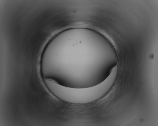 X0000102851477200809081231