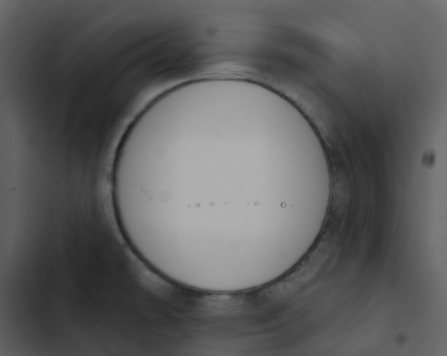 X0000102851478200809081231