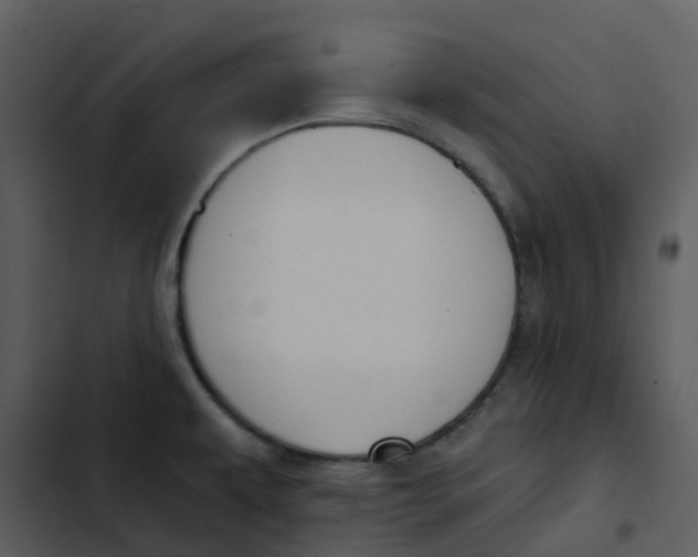 X0000102851479200809081231