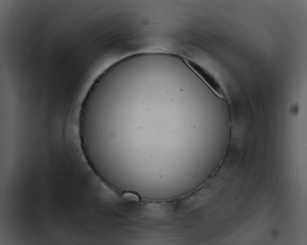 X0000102851480200809081231