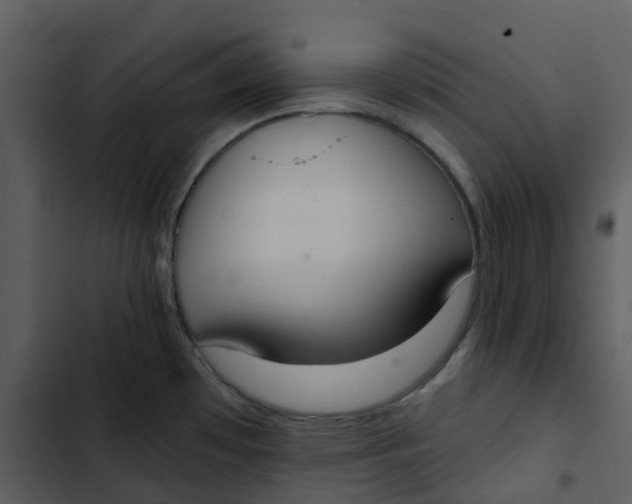 X0000102851481200809081231