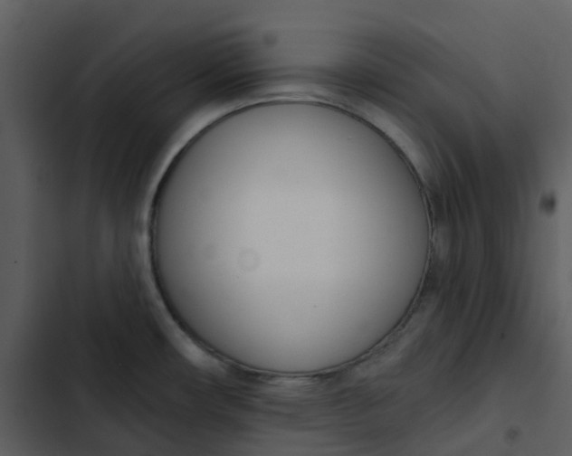 X0000102851482200809081231