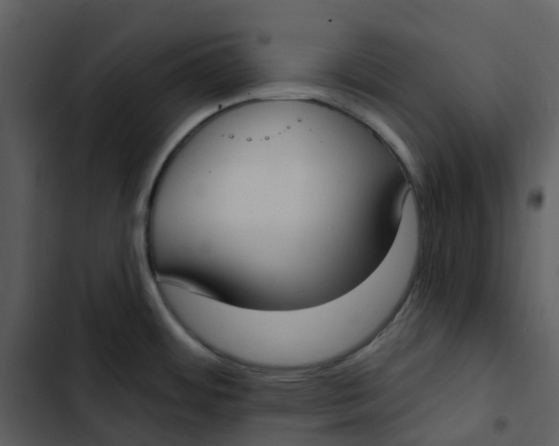 X0000102851484200809081231