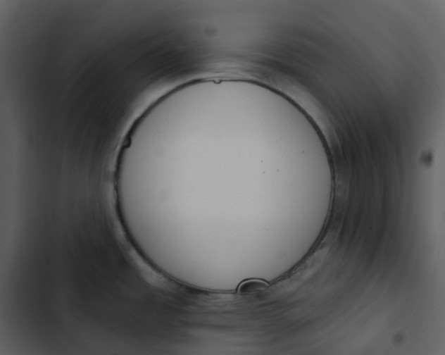 X0000102851485200809081231