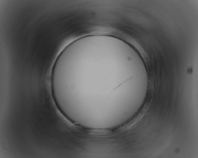 X0000102851487200809081231