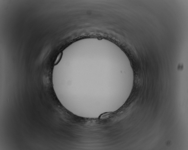 X0000102851490200809081231