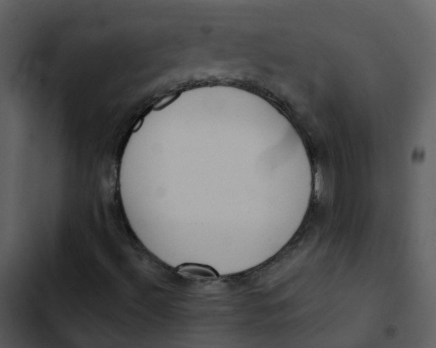 X0000102851492200809081231