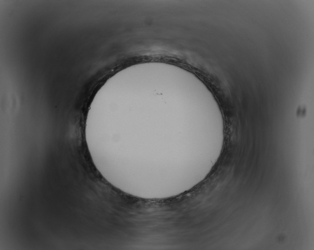 X0000102851493200809081231