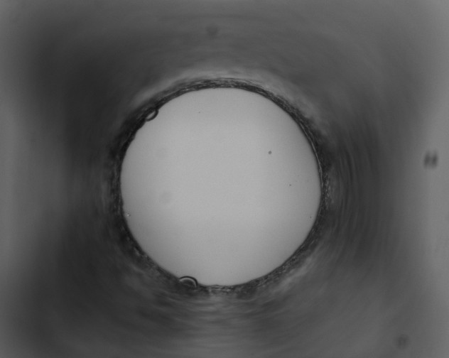 X0000102851494200809081231