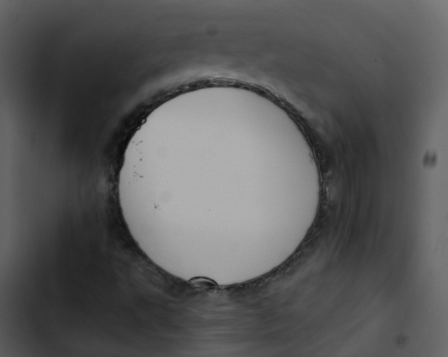 X0000102851495200809081231