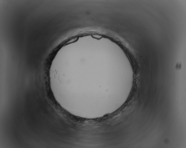 X0000102851496200809081231