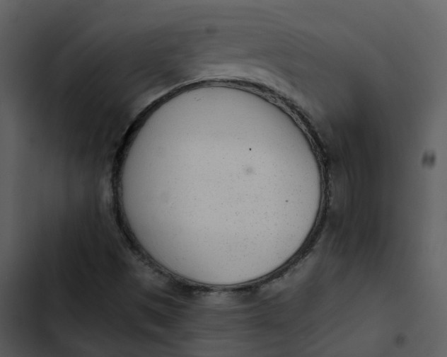 X0000102851497200809081231