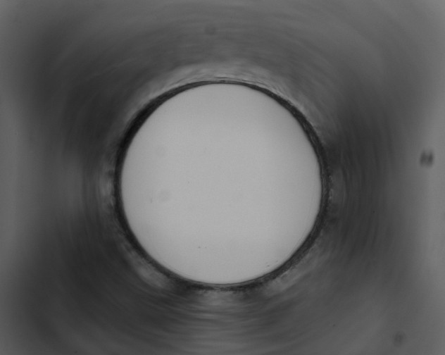 X0000102851499200809081231